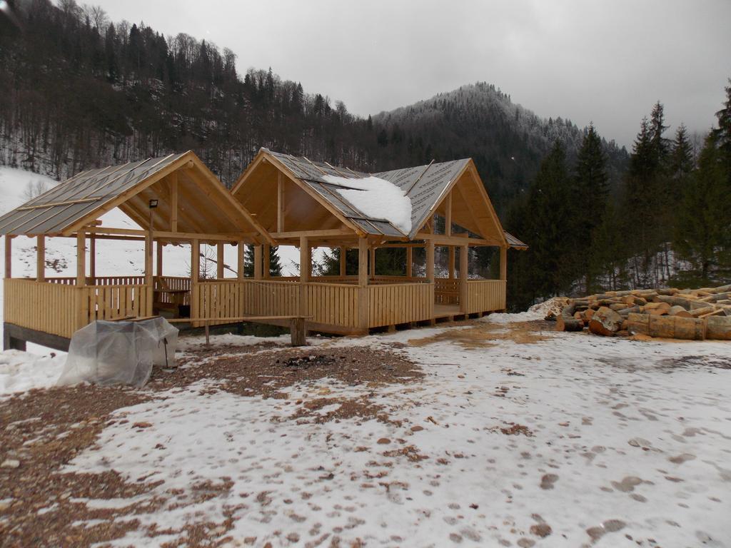 Pensiunea Izbucul Tauz Ghetari Extérieur photo